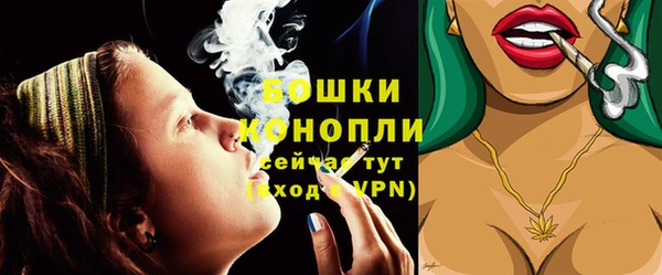 твердый Богданович