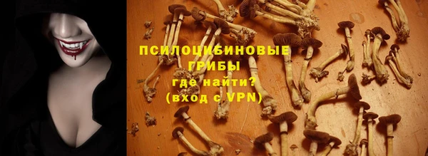 гидра Богородск