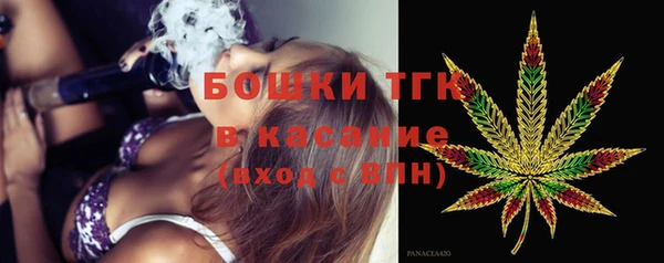 гидра Богородск