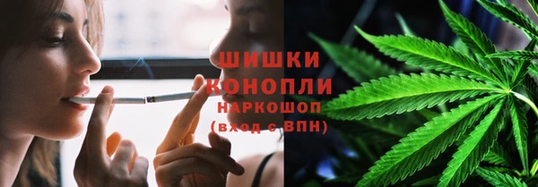 гидра Богородск