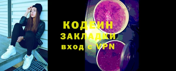 гидра Богородск