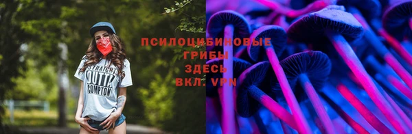 твердый Богданович