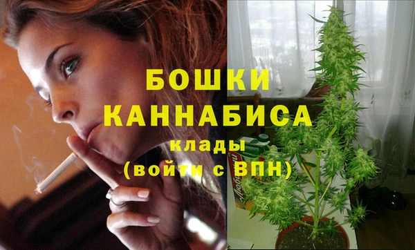 гидра Богородск