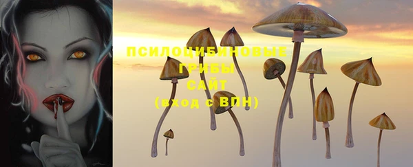 jwh Богородицк