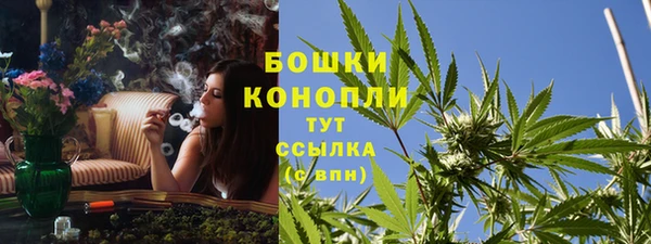 твердый Богданович