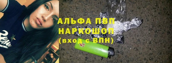гидра Богородск