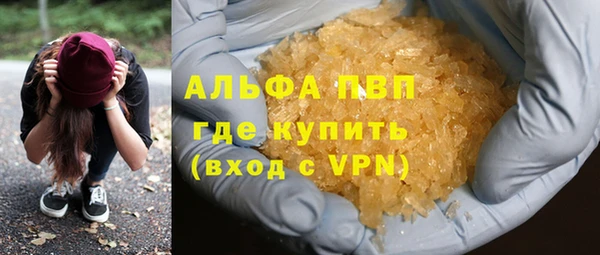 твердый Богданович
