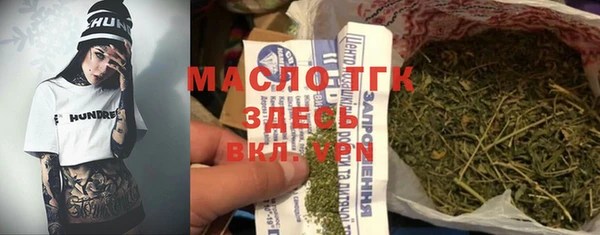 гидра Богородск