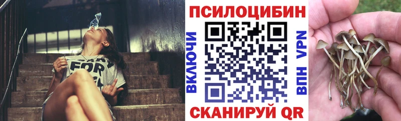 Псилоцибиновые грибы Cubensis  Челябинск 